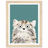 1ecfbced-9a3a-4614-866f-e0c5584152cc