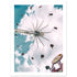 dc6bfed9-f9b1-402b-9e0e-88acc3136672